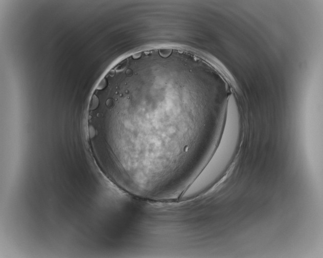 X0000115561244200911061547