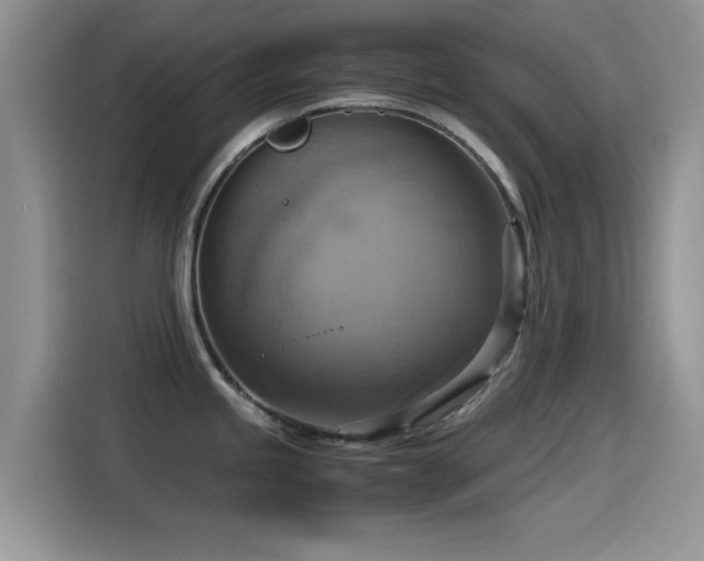 X0000115561245200911061547