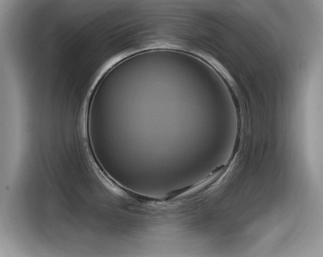 X0000115561246200911061547