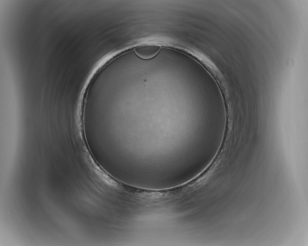 X0000115561248200911061547