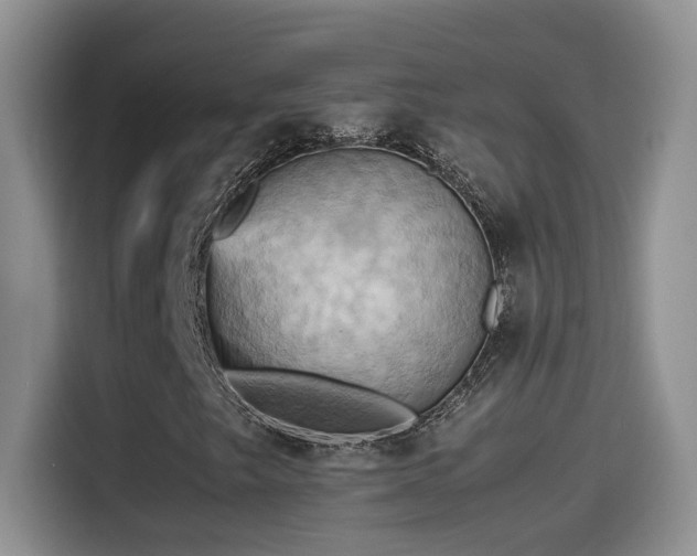 X0000115561249200911061546