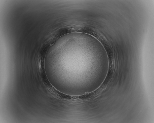 X0000115561250200911061546