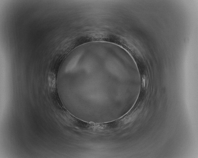X0000115561251200911061546