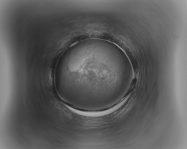 X0000115561252200911061546