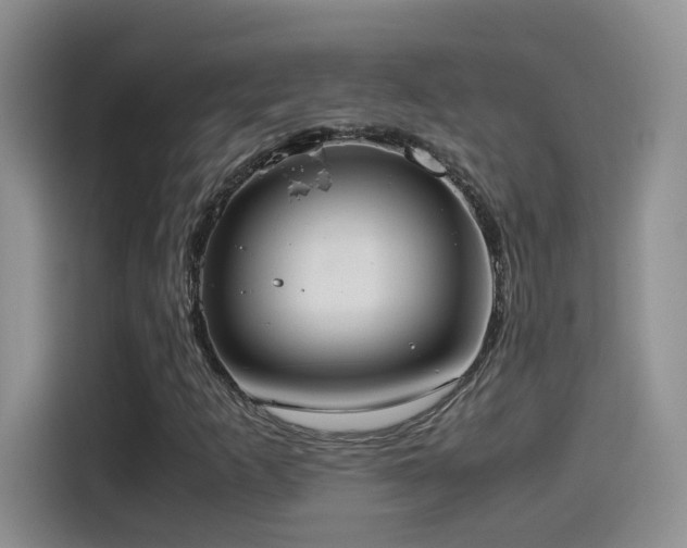 X0000115561253200911061546