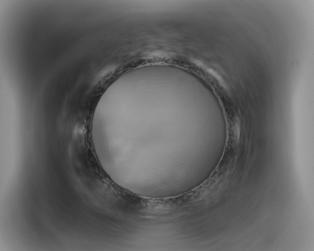 X0000115561254200911061546