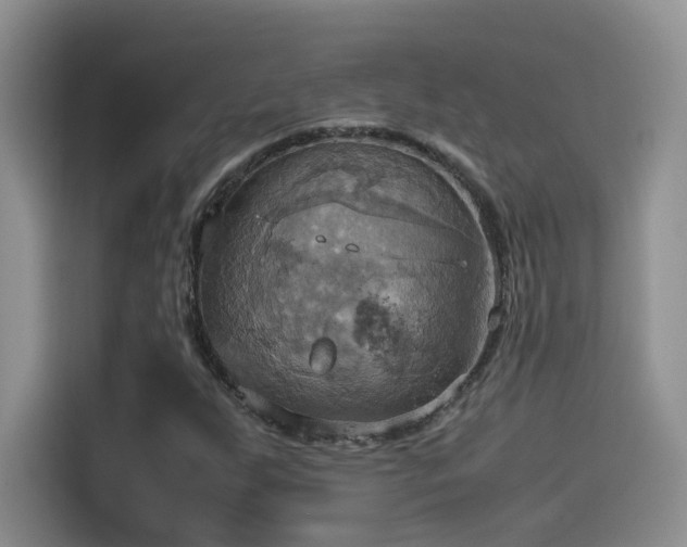 X0000115561255200911061546
