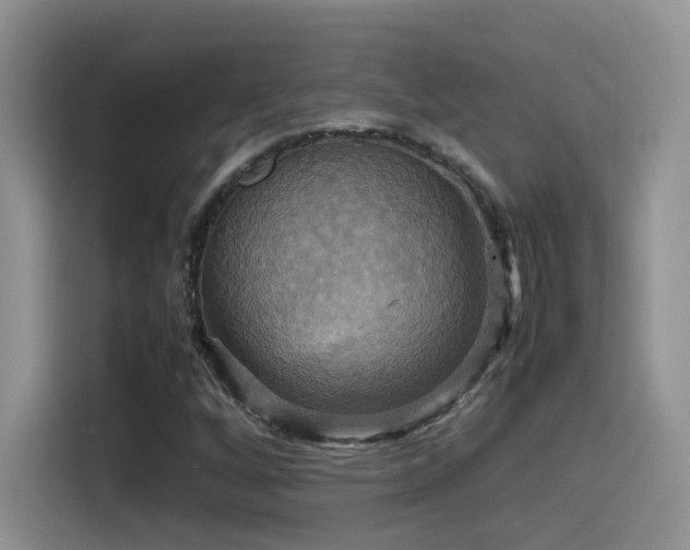 X0000115561256200911061546