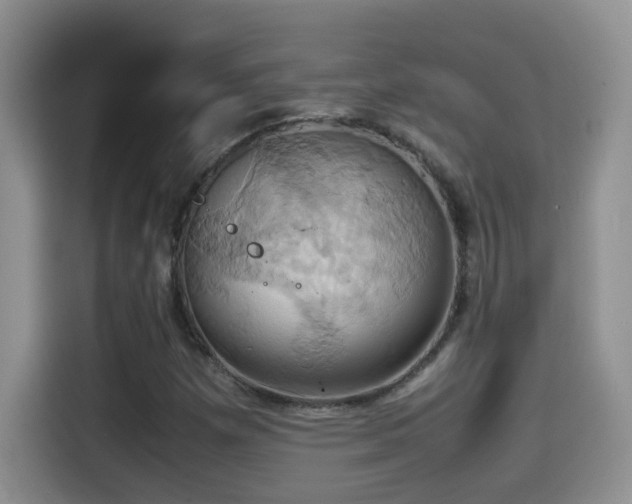 X0000115561257200911061546
