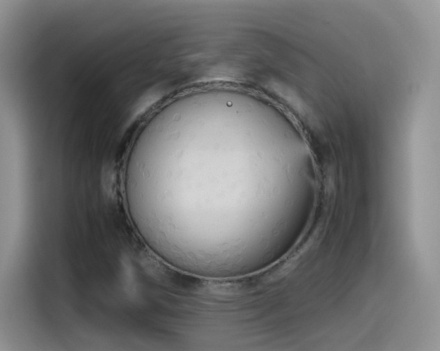 X0000115561258200911061546