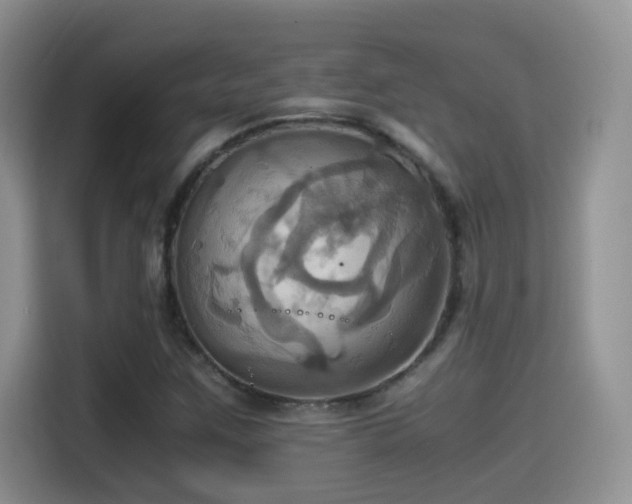 X0000115561259200911061546