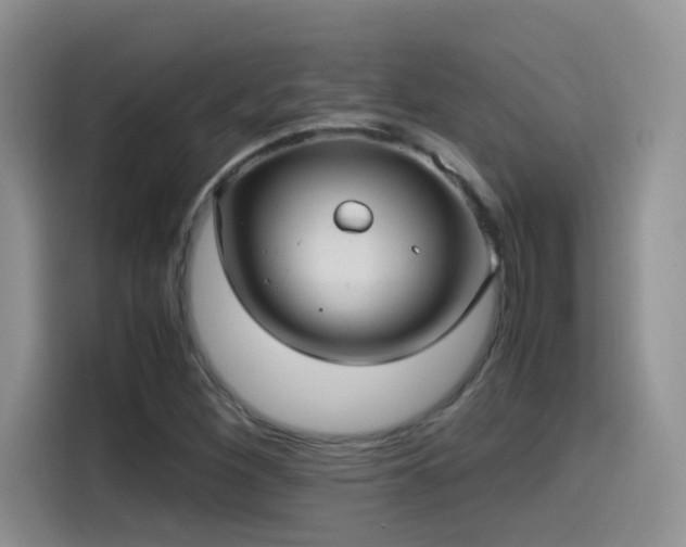 X0000115561260200911061546