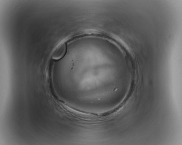 X0000115561261200911061546