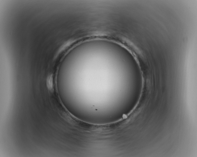 X0000115561262200911061546
