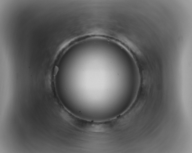 X0000115561264200911061546