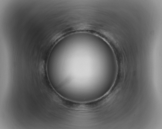 X0000115561265200911061546