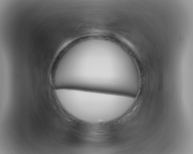 X0000115561267200911061546