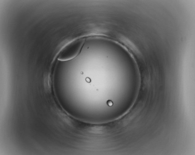 X0000115561268200911061546