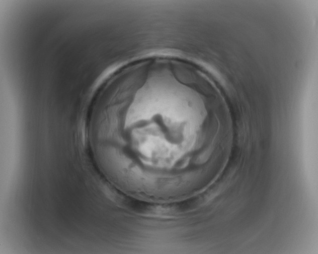 X0000115561271200911061546