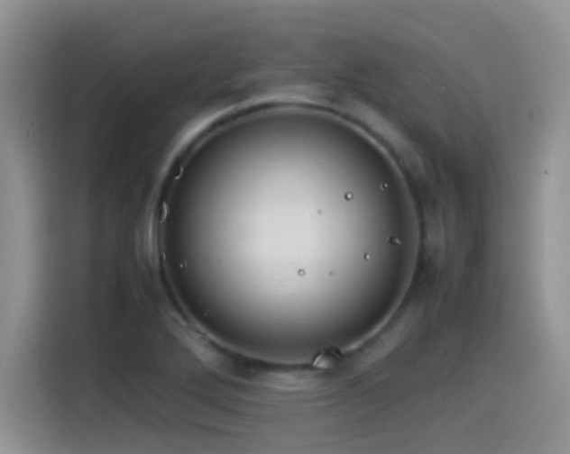 X0000115561272200911061546