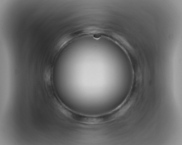 X0000115561273200911061546