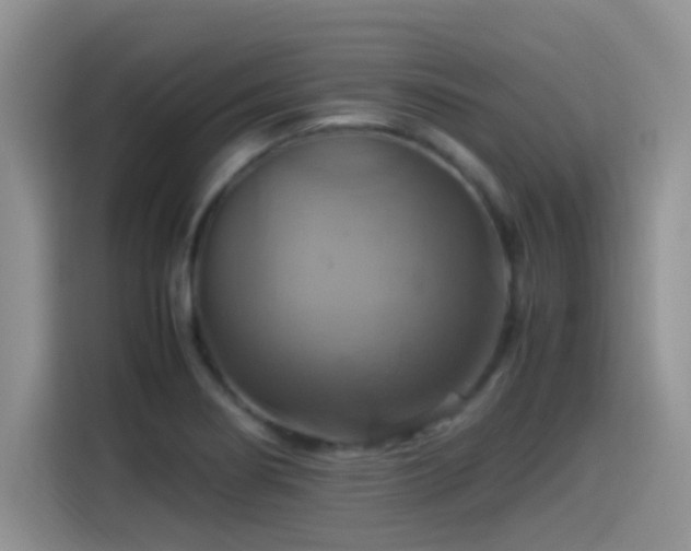 X0000115561274200911061546