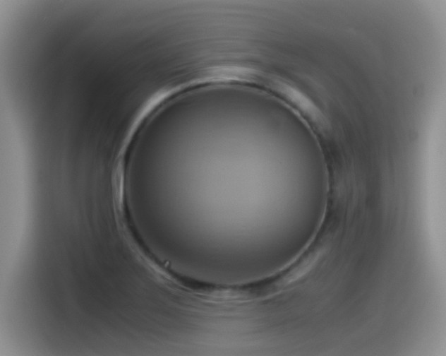 X0000115561275200911061546