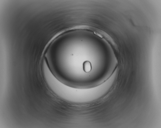 X0000115561276200911061546