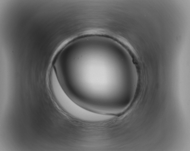 X0000115561277200911061546