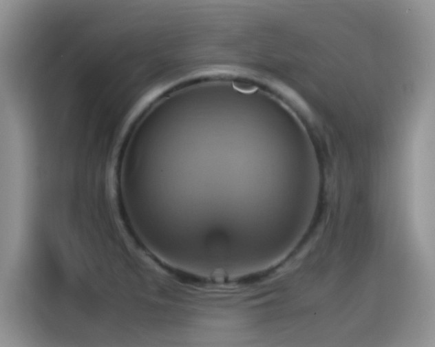 X0000115561279200911061546