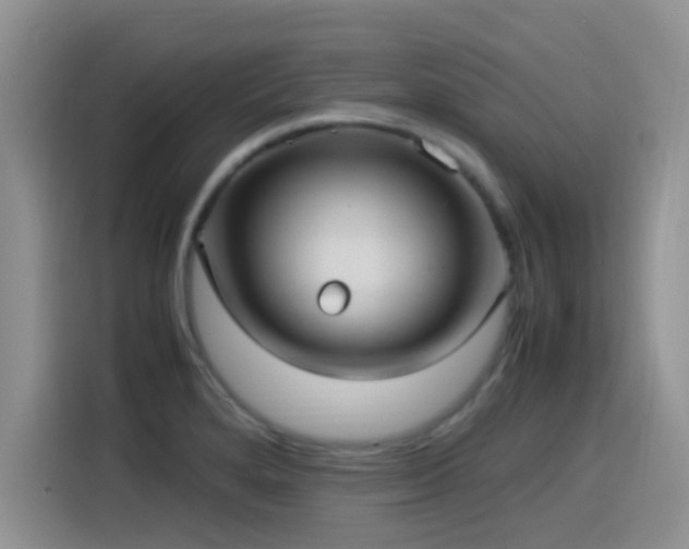 X0000115561280200911061546