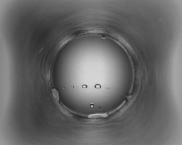 X0000115561281200911061546
