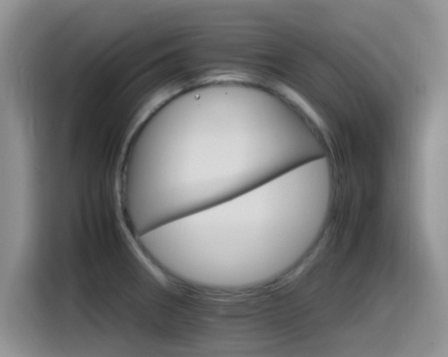 X0000115561282200911061546