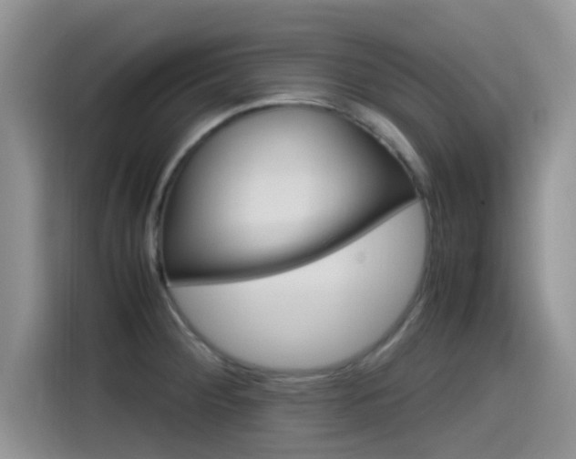 X0000115561284200911061546