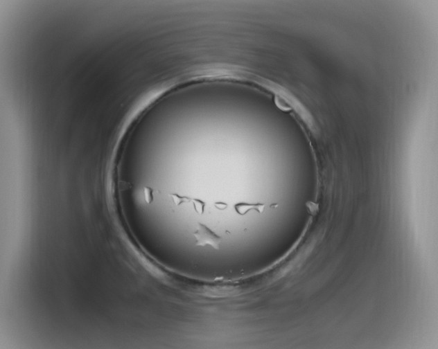 X0000115561285200911061546