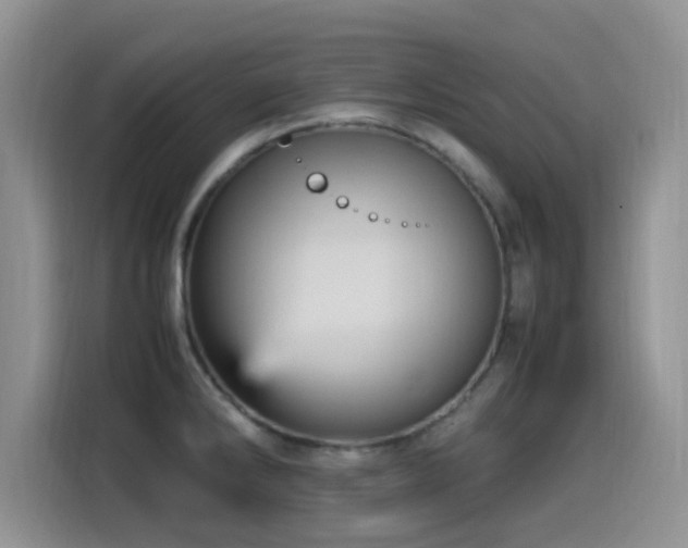 X0000115561286200911061546
