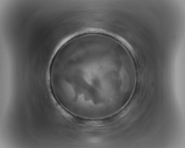 X0000115561287200911061546