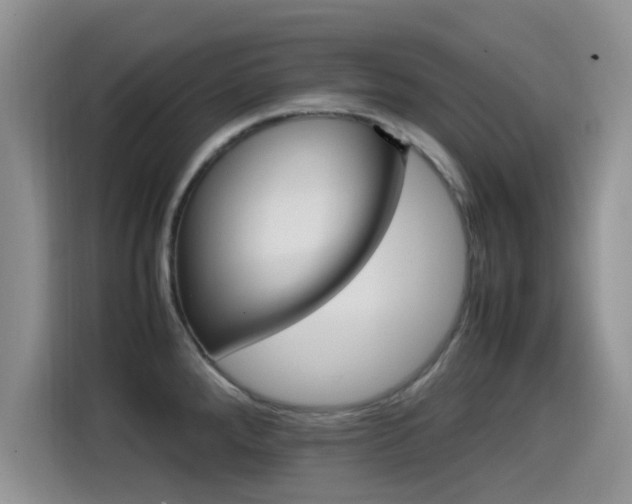 X0000115561288200911061546