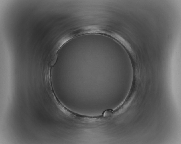 X0000115561289200911061546