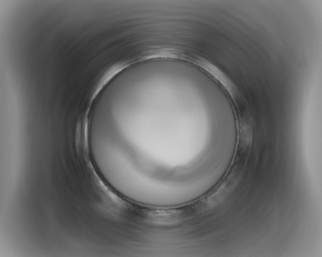 X0000115561290200911061546