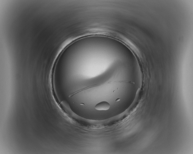X0000115561291200911061546