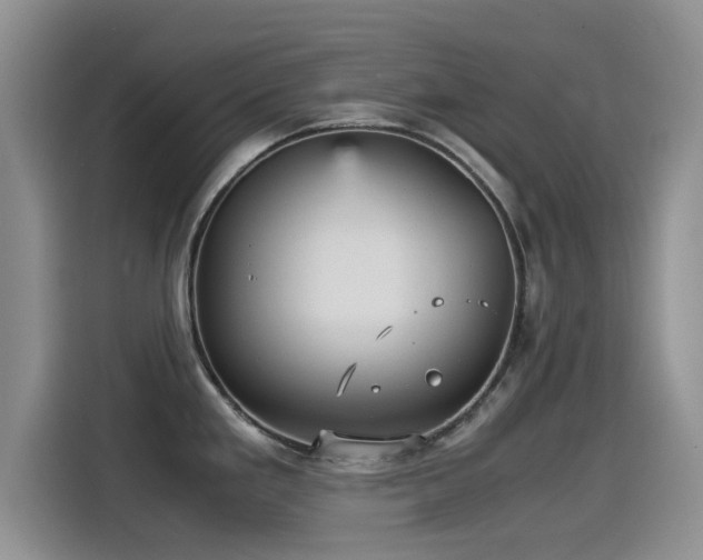 X0000115561293200911061545