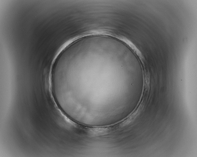 X0000115561294200911061545