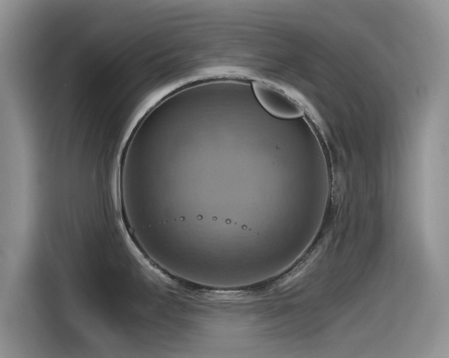 X0000115561295200911061545