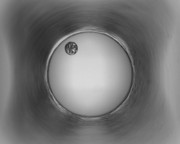 X0000115561296200911061545