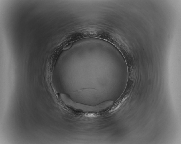 X0000115561297200911061545