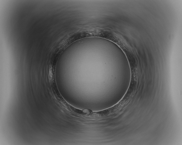X0000115561298200911061545