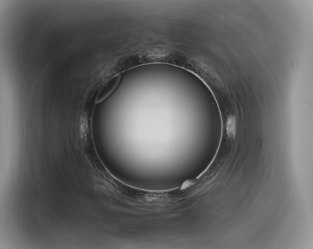 X0000115561299200911061545