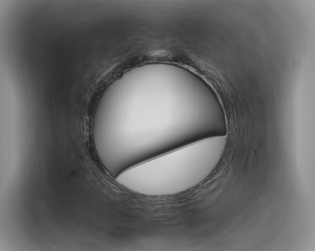 X0000115561301200911061545