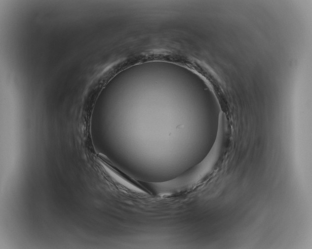 X0000115561303200911061545